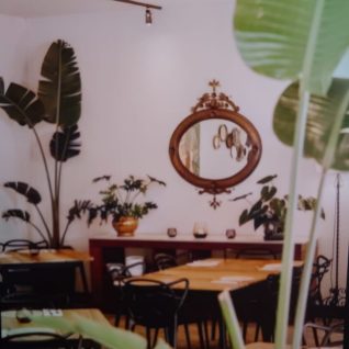 WhatsApp Image 2026-01-27 at 09.21.48 (2)